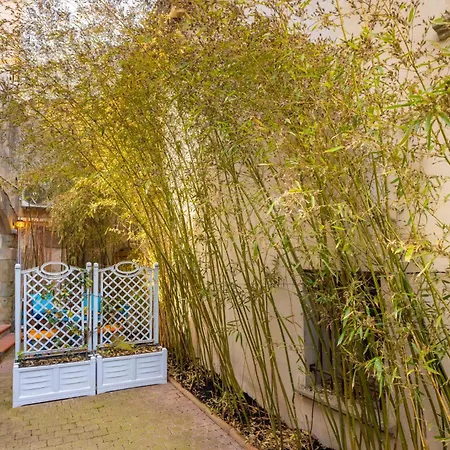 Tatil Evi Le Rempart-clim-terrasse & Patio A 3min De La Cite *